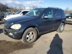 2003 Mercedes-Benz ML 350