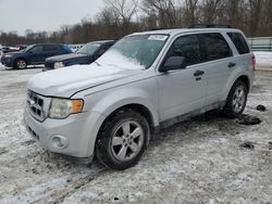 Run And Drives Cars for sale at auction: 2011 Ford Escape XLT