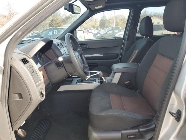 2008 Ford Escape XLT