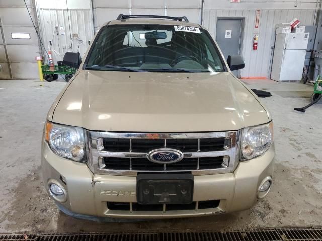 2011 Ford Escape XLT