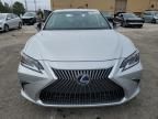 2019 Lexus ES 300H