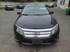 2010 Ford Fusion Hybrid