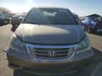 2008 Honda Odyssey EXL