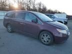 2013 Honda Odyssey EXL