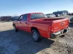 2005 Dodge Dakota Quattro