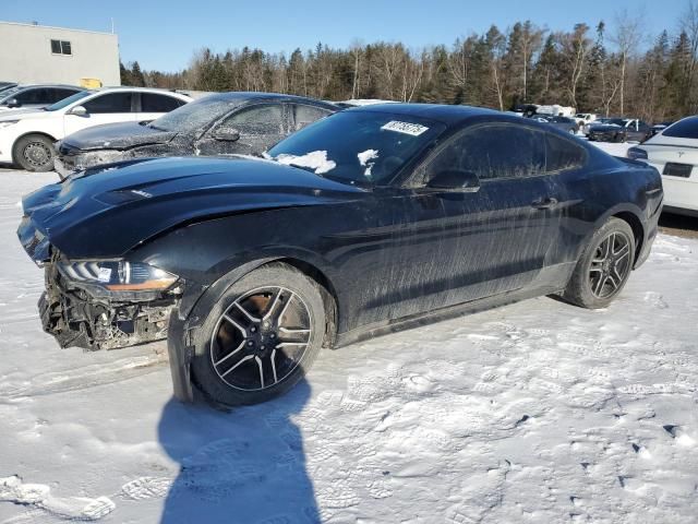 2019 Ford Mustang