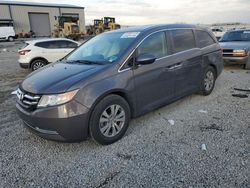 Salvage cars for sale at Earlington, KY auction: 2016 Honda Odyssey EXL