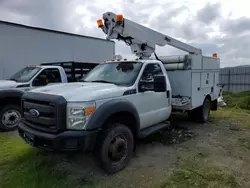 Salvage trucks for sale at Martinez, CA auction: 2012 Ford F450 Super Duty