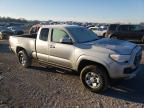 2023 Toyota Tacoma Access Cab