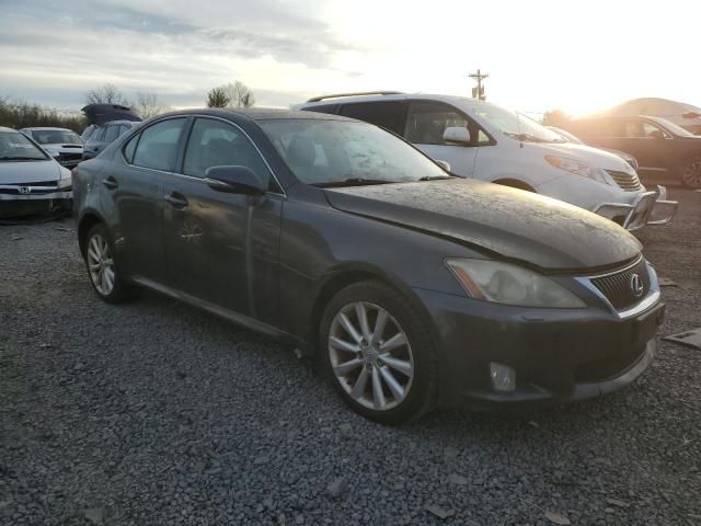 2010 Lexus IS 250