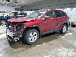 Toyota rav4 xle salvage cars for sale: 2019 Toyota Rav4 XLE