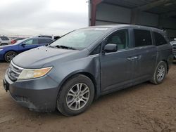 Salvage cars for sale from Copart Houston, TX: 2011 Honda Odyssey EXL