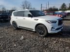 2023 Infiniti QX80 Luxe