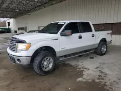 Salvage trucks for sale at Gaston, SC auction: 2012 Ford F150 Supercrew