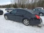 2007 Nissan Maxima SE