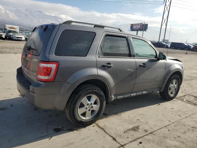 2011 Ford Escape XLT