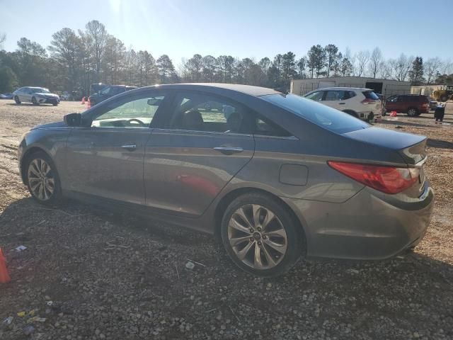 2011 Hyundai Sonata SE