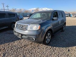 Salvage cars for sale at Magna, UT auction: 2013 Honda Pilot EXL