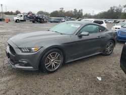 Salvage cars for sale from Copart Riverview, FL: 2016 Ford Mustang