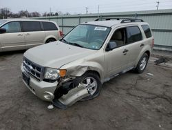 Vehiculos salvage en venta de Copart Pennsburg, PA: 2010 Ford Escape XLT