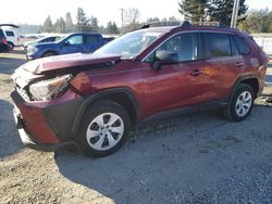 Toyota rav4 salvage cars for sale: 2021 Toyota Rav4 LE