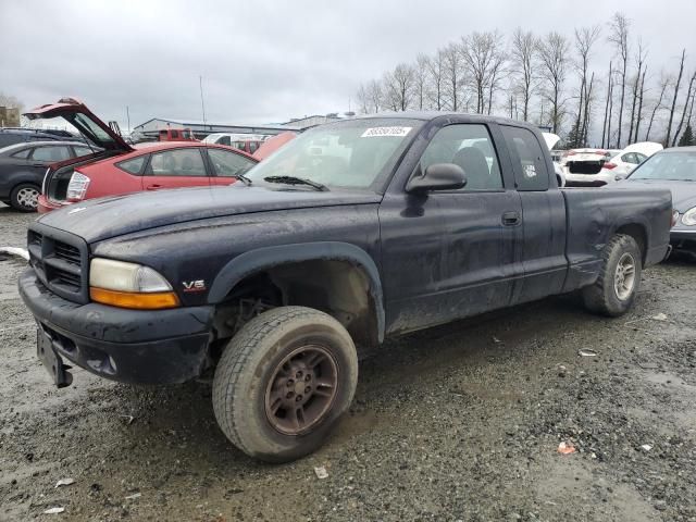 1999 Dodge Dakota