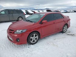 Salvage cars for sale at auction: 2012 Toyota Corolla Base