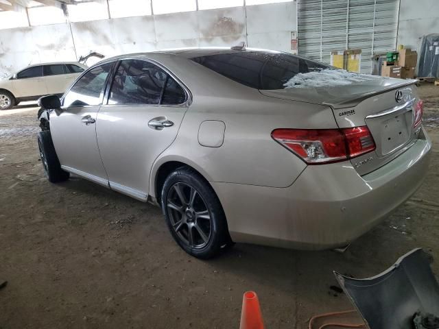 2010 Lexus ES 350