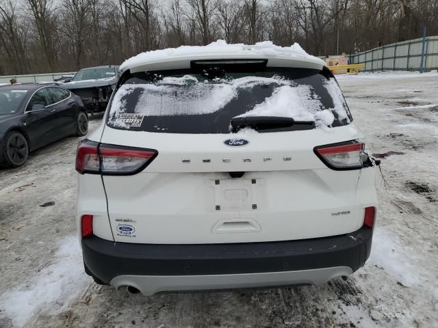 2020 Ford Escape SEL