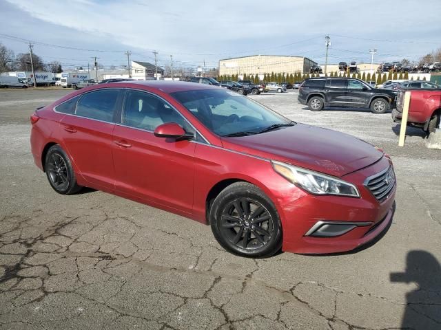 2016 Hyundai Sonata SE