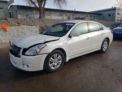 Salvage cars for sale at Albuquerque, NM auction: 2011 Nissan Altima Base