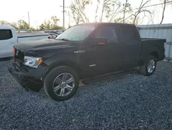 Salvage cars for sale at Riverview, FL auction: 2013 Ford F150 Supercrew