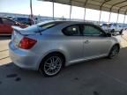 2006 Scion TC