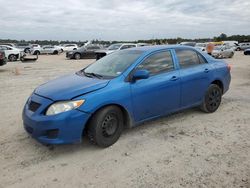 Salvage cars for sale from Copart Houston, TX: 2010 Toyota Corolla Base