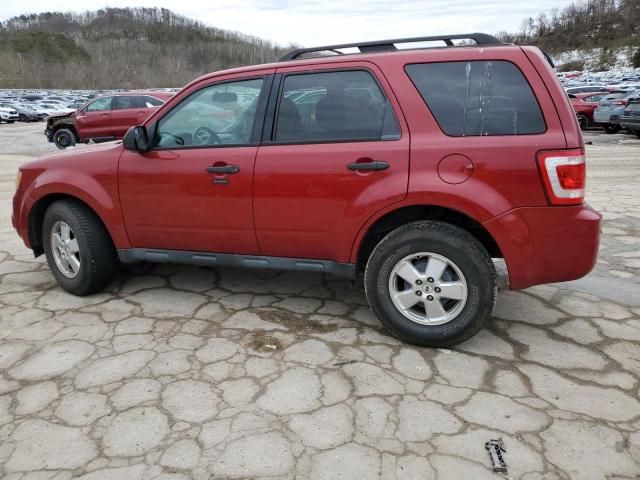 2011 Ford Escape XLT