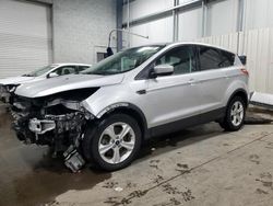 Salvage cars for sale from Copart Ham Lake, MN: 2015 Ford Escape SE