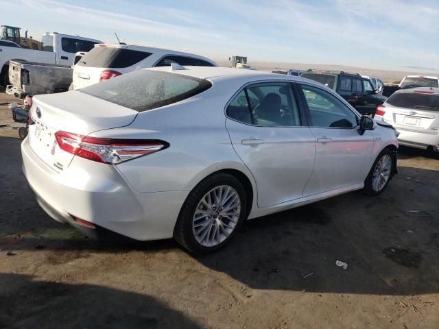 2019 Toyota Camry Hybrid