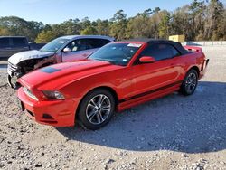 Carros salvage a la venta en subasta: 2014 Ford Mustang