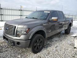 Ford salvage cars for sale: 2012 Ford F150 Supercrew