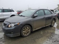 2010 Toyota Corolla Base en venta en Eugene, OR