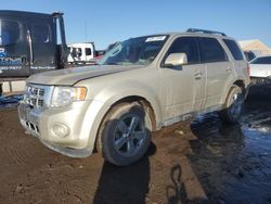 Salvage Cars with No Bids Yet For Sale at auction: 2012 Ford Escape Limited