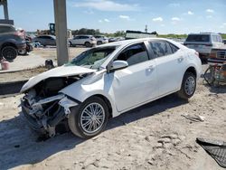 Salvage cars for sale at West Palm Beach, FL auction: 2014 Toyota Corolla L