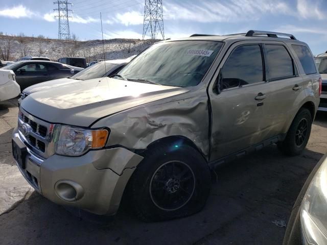 2011 Ford Escape Limited