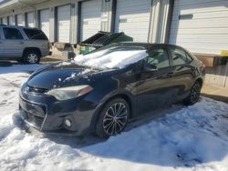 Salvage cars for sale at Louisville, KY auction: 2015 Toyota Corolla L