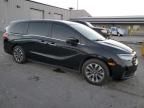 2021 Honda Odyssey EXL