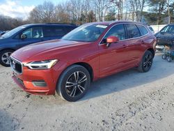 Salvage cars for sale at auction: 2019 Volvo XC60 T5