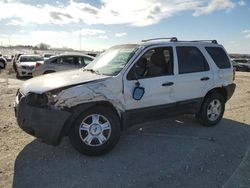 Ford Escape Vehiculos salvage en venta: 2003 Ford Escape XLT