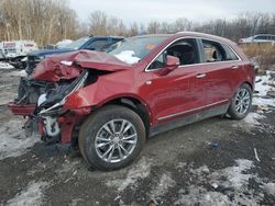 Cadillac salvage cars for sale: 2023 Cadillac XT5 Premium Luxury