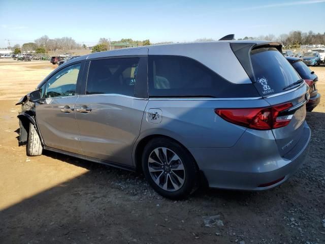 2024 Honda Odyssey EXL