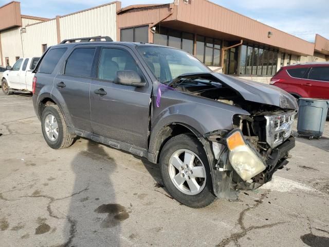 2009 Ford Escape XLT